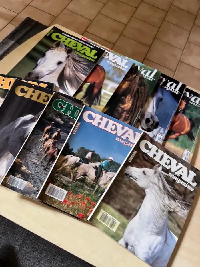 Lot de 10 anciens magazines sur les chevaux - photo numéro 3