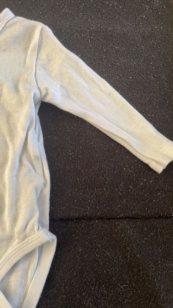 Bodie 3 mois - photo numéro 4