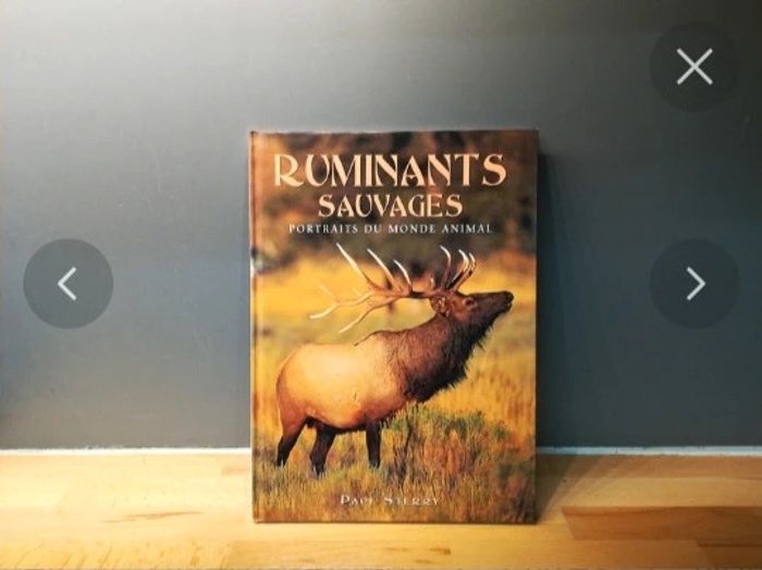 Livre les ruminants sauvages