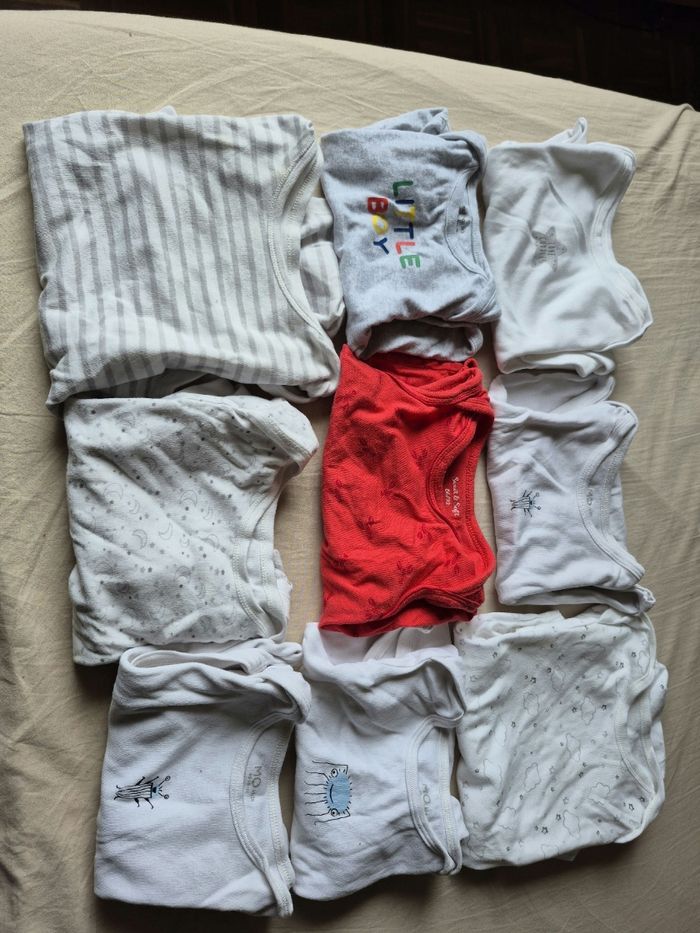 Lot 9 bodies manches courtes 24 mois