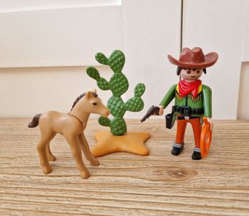 Playmobil 5373 Cowboy avec poulain