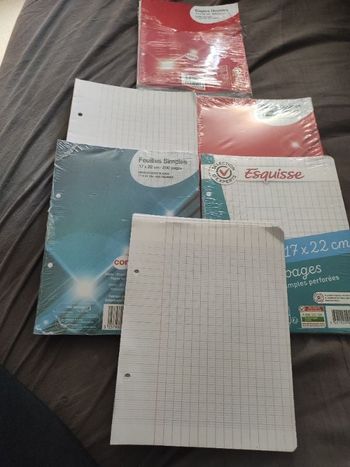 Feuille mobile + copie double