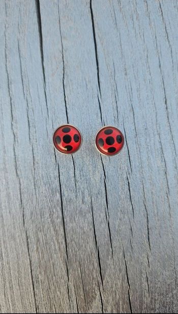 Bijou Miraculous de la coccinelle artisanal – univers Ladybug (livre)