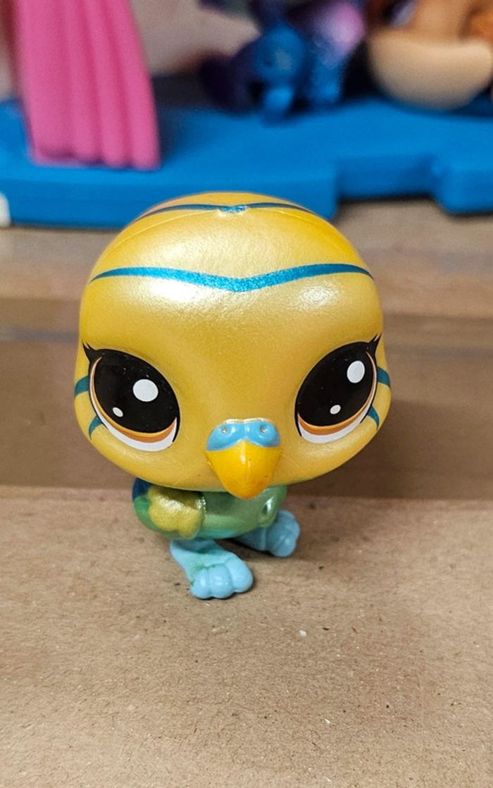 Pet shop rare 2-64
