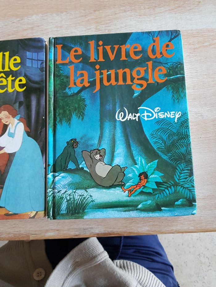 lot de 2 livres Disney - photo numéro 3