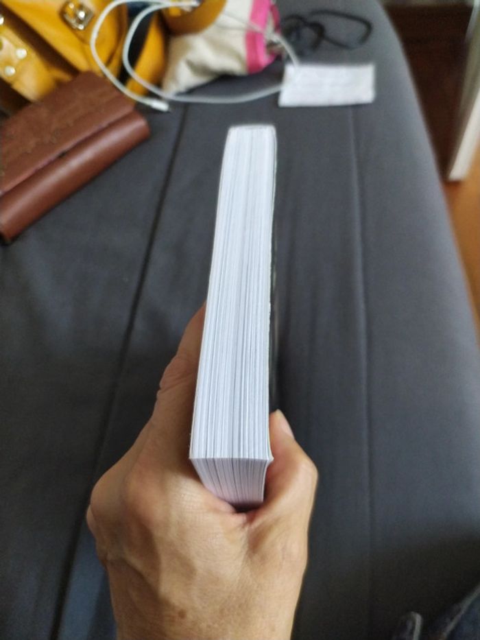 La Grande Controverse - photo numéro 6