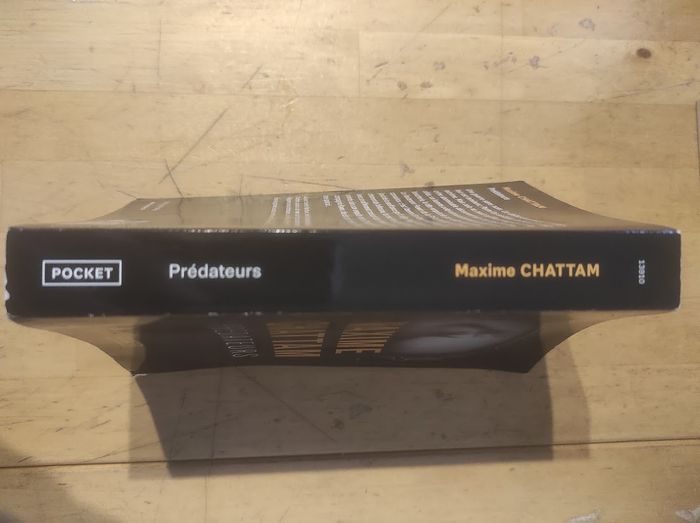 Prédateurs Maxime Chattam Pocket 2023 - photo numéro 2