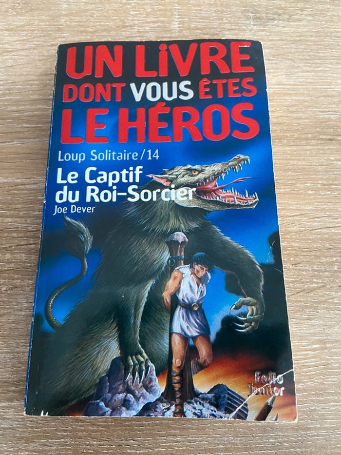Le captif du roi sorcier un livre dont vous êtes le héros