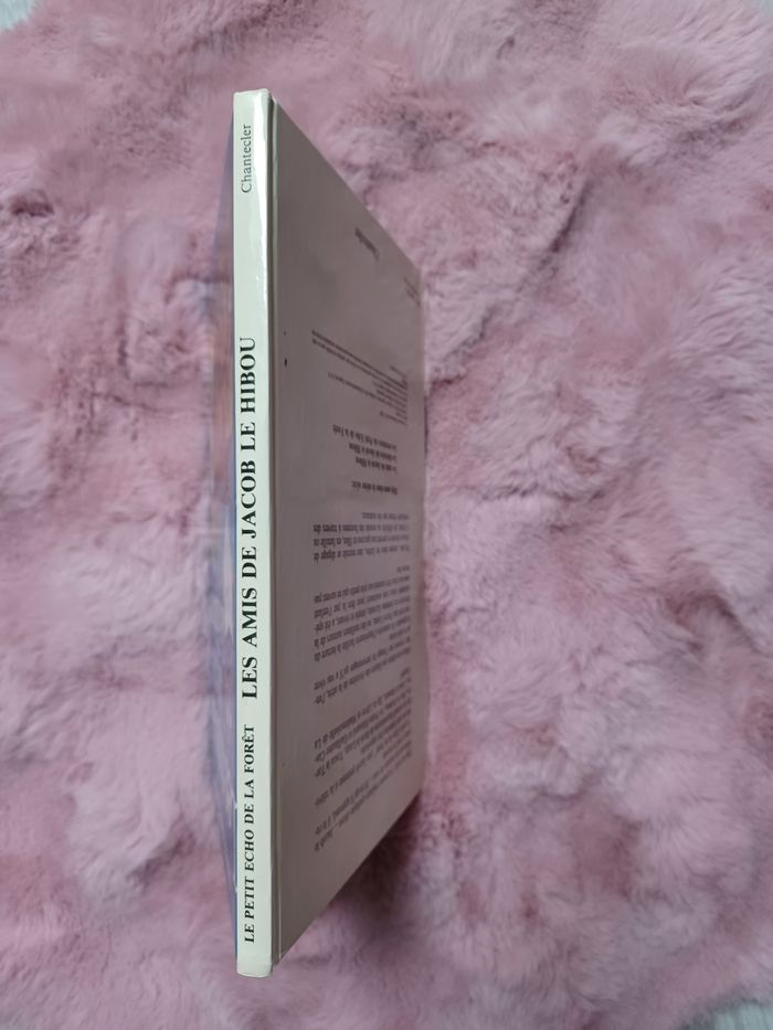 Livre Le petit écho de la forêt: les amis de Jacob le hibou - photo numéro 6