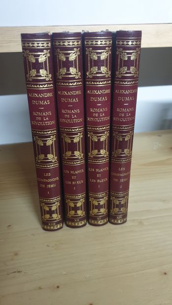 Lot livres Alexandre Dumas
