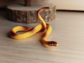Figurine serpent jaune et rouge Animal de la savane