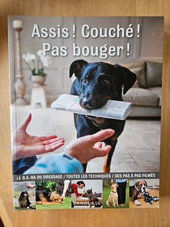 Livre Assis, Couché, Pas bouger
