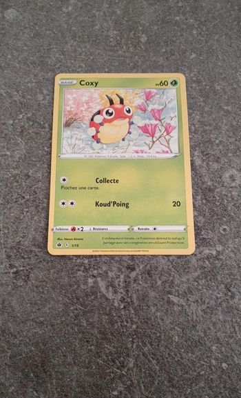 Carte Pokémon Coxy