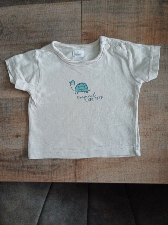 Tee shirt Tortue Zeeman 1 mois