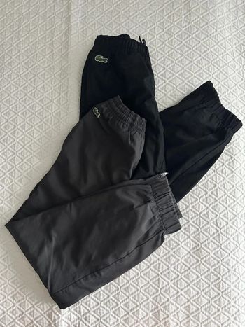 Lot de deux joggings Lacoste 8 ans