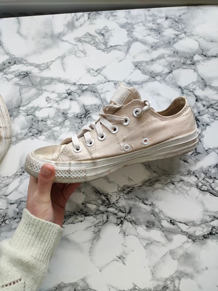 Converse basse édition limité