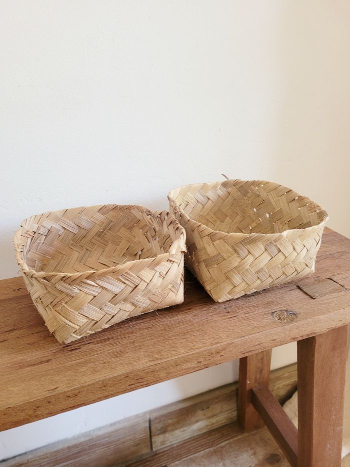 Lot de 2 petits paniers