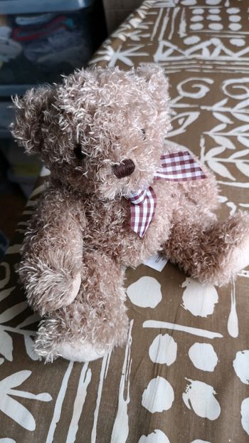 Nounours 20 cm