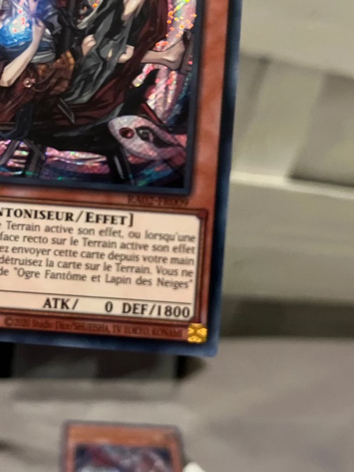 Ogre fantôme et lapin des neiges - photo numéro 4