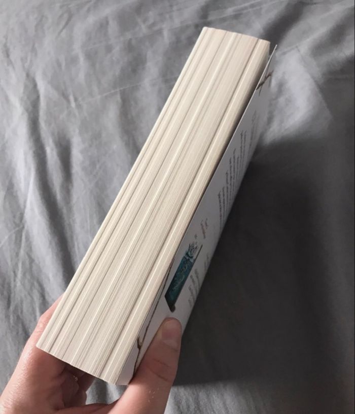 Le prince cruel - photo numéro 4