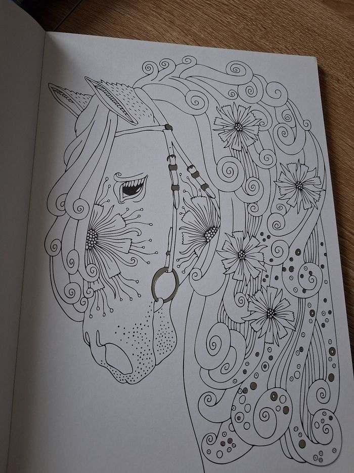 Coloriage - photo numéro 2