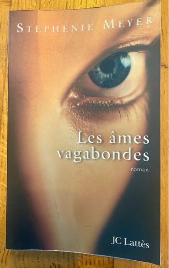 Livre les âmes vagabondes