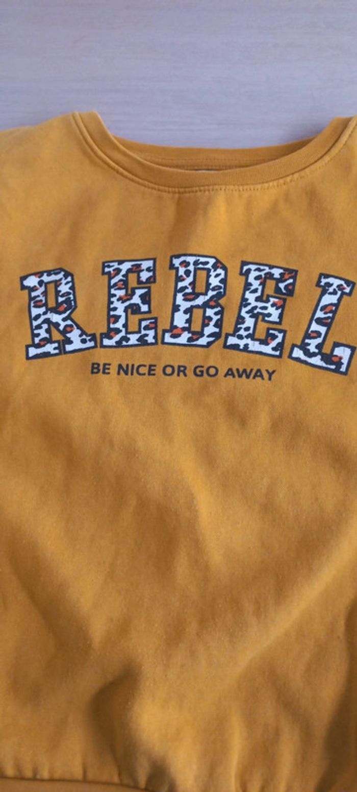 Pull LH - photo numéro 2