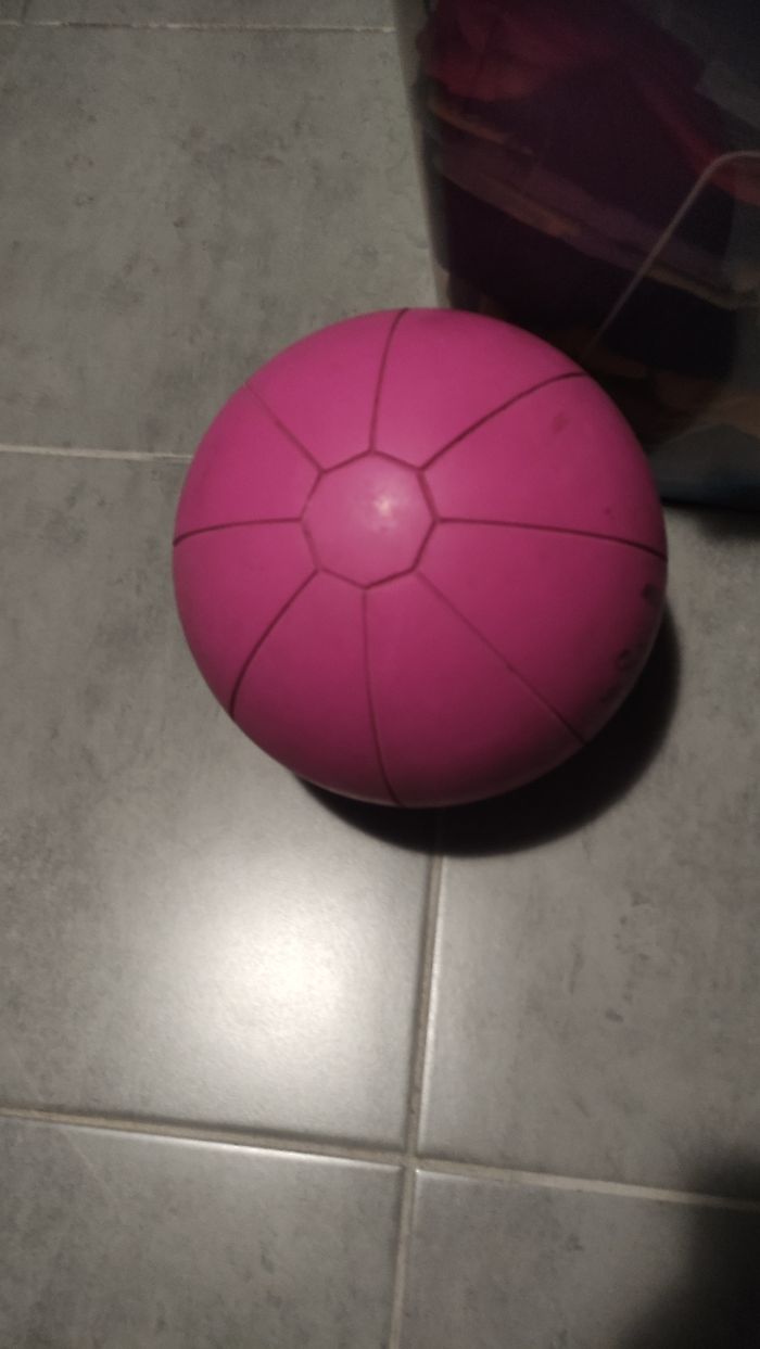 Médecine Ball - photo numéro 4