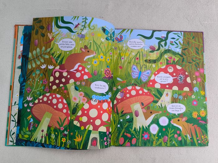 Livre Cherche et trouve dans la forêt Usborne - photo numéro 5