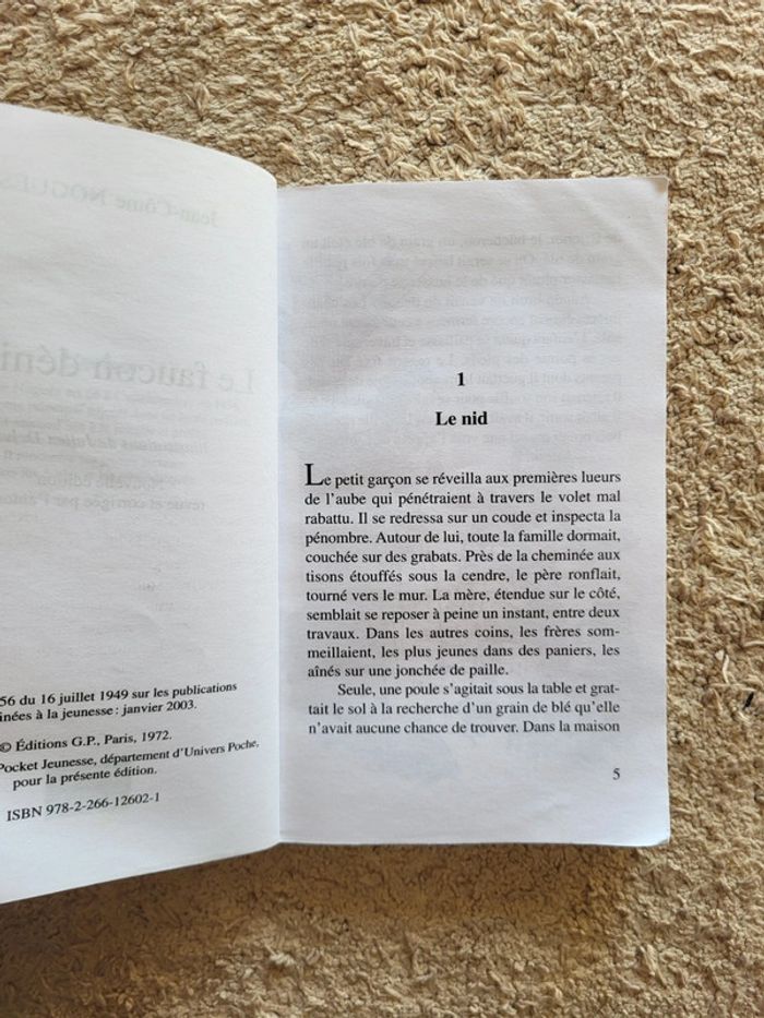 Roman jeunesse Le faucon déniché de Jean-Côme Noguès - photo numéro 5