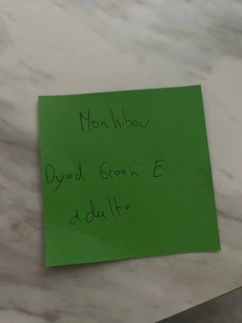 Monhibou via mondial relay