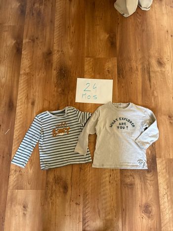 Lot de 2 t-shirts manches longues 24 mois