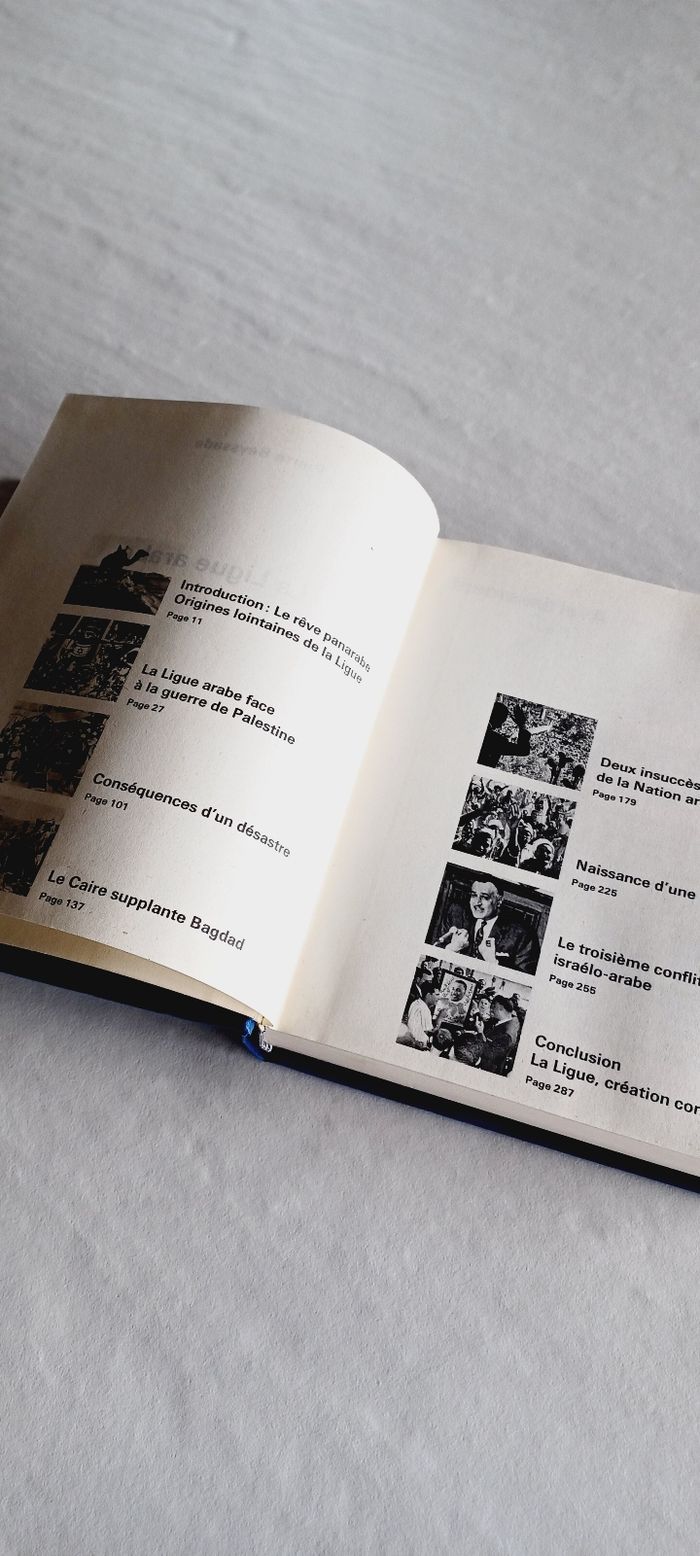 Livre la ligue arabe - photo numéro 5