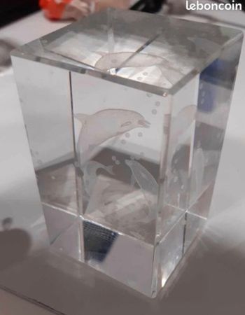 Décoration rectangle en verre 3D dauphins