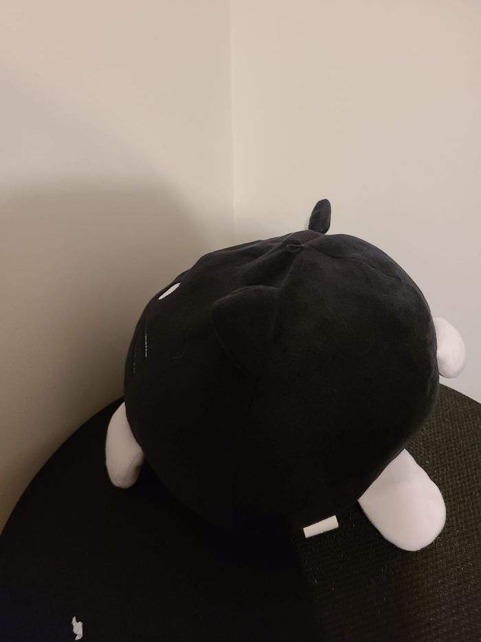 doudou chat - photo numéro 4