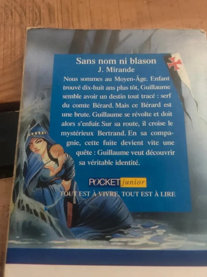 Sans nom ni blason - photo numéro 2