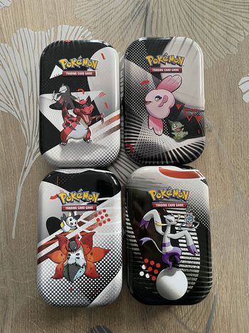 Lot de 4 Mini tins EV10.5