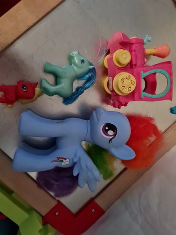 Lot little poneys