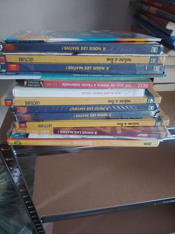 Livres école et cahier de vacance ps au CM2