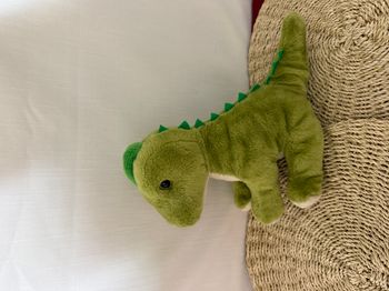 Petjes Peluche Brontosaure