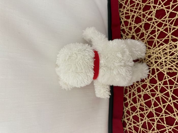 DOUDOU PELUCHE EDITIONS AUZOU OURS BLANC ECHARPE ROUGE 20cm - photo numéro 2