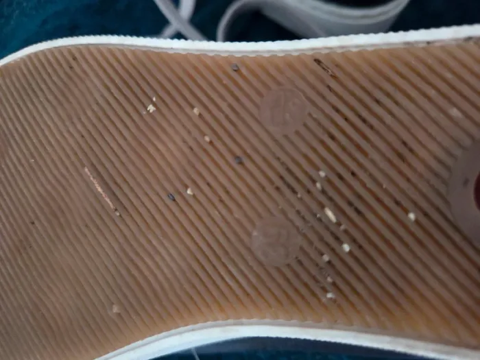 Basket strass taille 39 - photo numéro 7