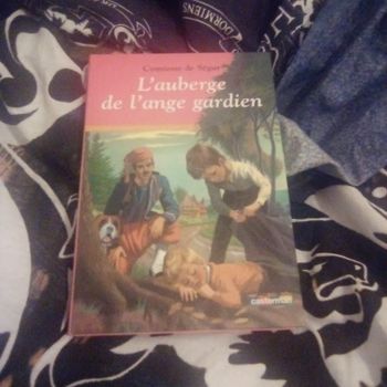 livre l'auberge de l'ange gardien