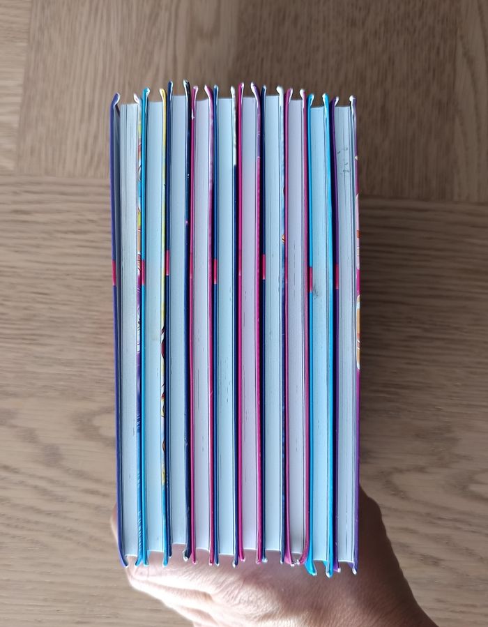 10 livres "Lolirock" - photo numéro 2