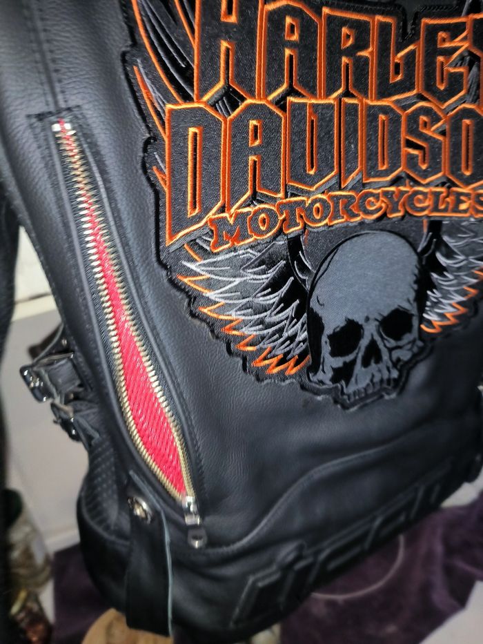 Veste moto cuir - photo numéro 7