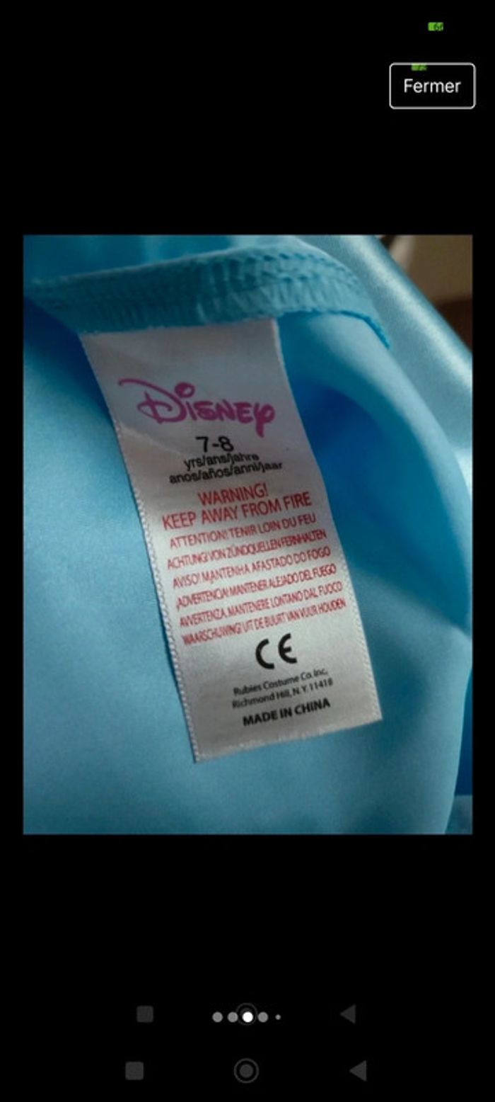 Déguisement Cendrillon - photo numéro 6