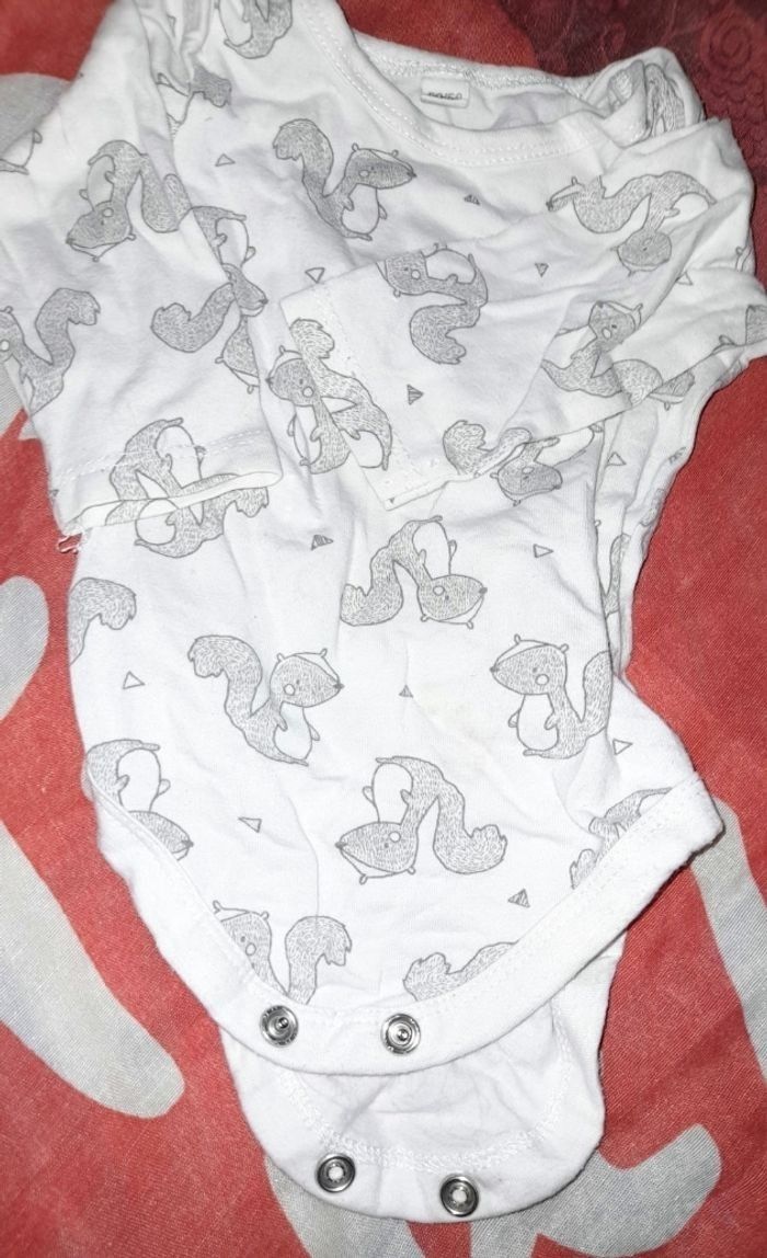 8 bodis - photo numéro 4