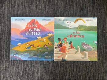 Lot de 2 livres - Merveilles de France - Hachette jeunesse