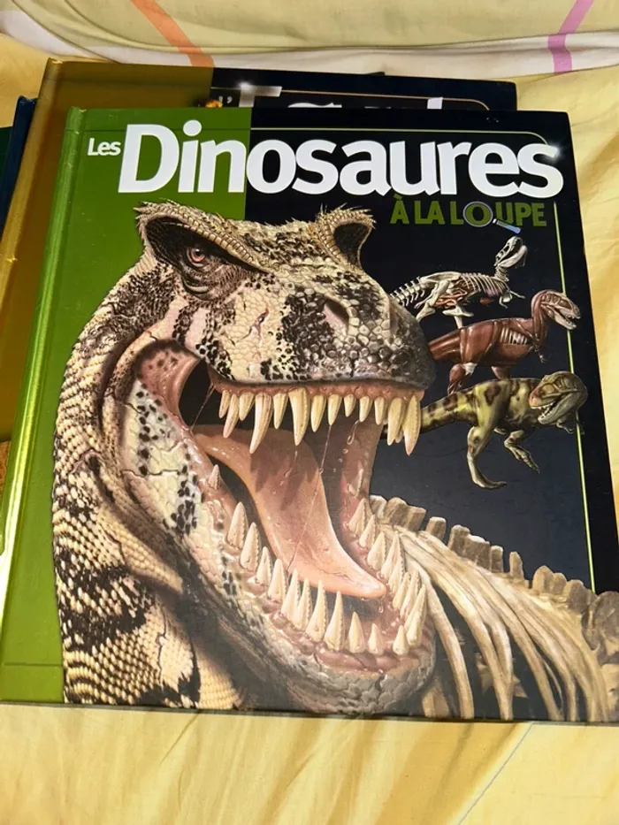Lot livres À la loupe - photo numéro 6