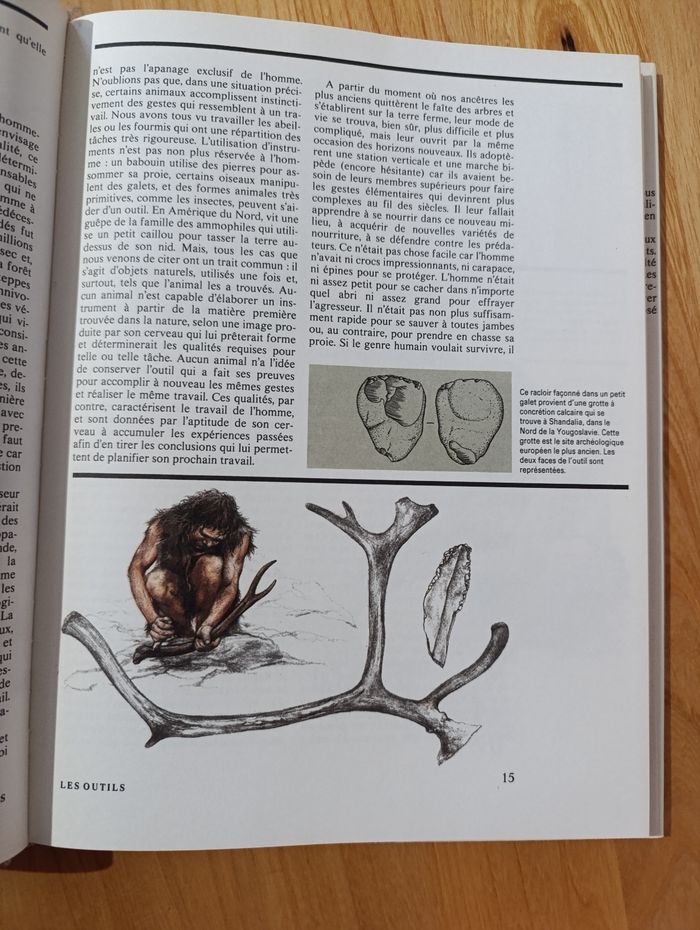 La vie dans la préhistoire - photo numéro 6